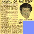 New Musical Express 11 Dec 64