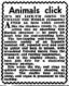 New Musical Express 29 Oct 65