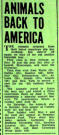 Record Mirror 1 May 65