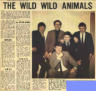 Record Mirror 9 May 64