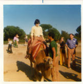 Chris Chappel on a Camel