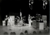 H Bosch seevic collage ash first gig