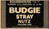 Melody Maker 22 Jan 77