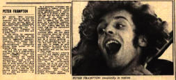 Melody Maker 27 Aug 77
