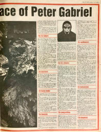 Melody Maker 14 Feb 81