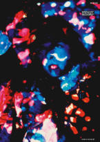 History of Rock 1967