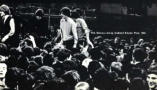 Rave June 65