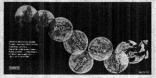 New Musical Express 1 June 68